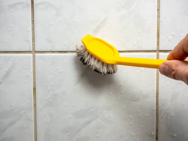 Best Office Mold Removal Services  in West Swanzey, NH